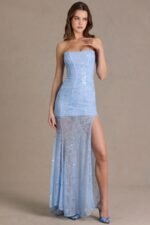 Embellished Lace Corset Gown in Sky Blue - Image 6