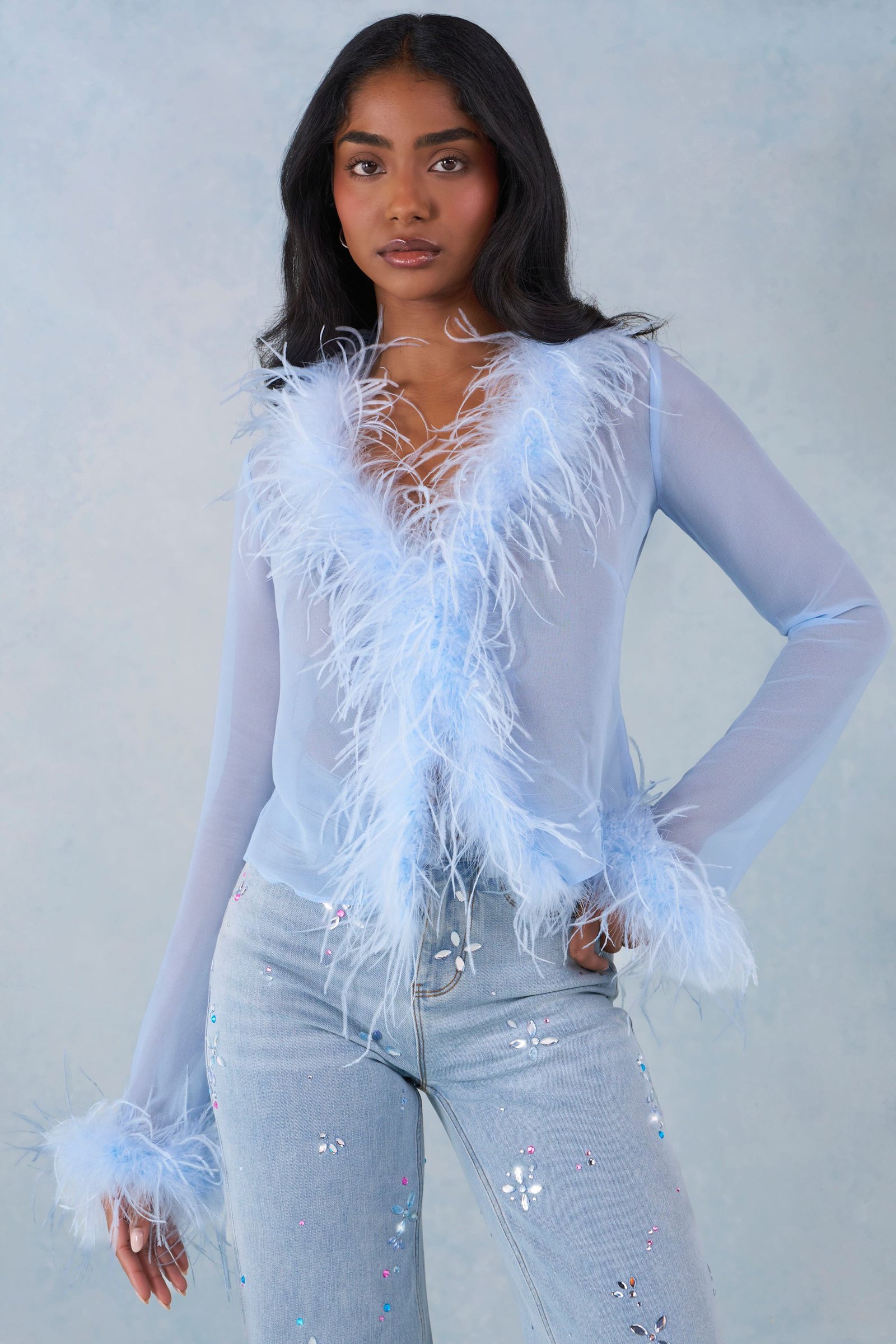 15999-SoftBlue_Elisia_1 Feather Trim Sheer Top in Soft Blue - Image 1